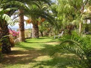 Itálie - Kalábrie - Tropea - Porto Ulysse - PArk