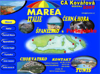 CA marea web snapshot 2007